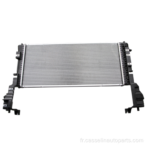 Radiateur en aluminium de vente entière pour Ford OEM GT4Z-8005-A